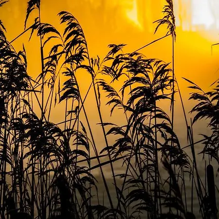 Astrofarm Frühstückspension