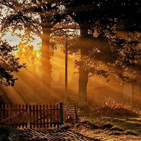 Astrofarm * Confolens