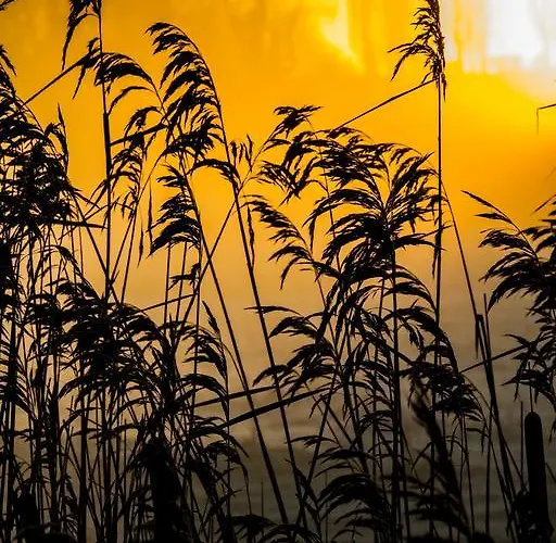 Astrofarm Bed & Breakfast