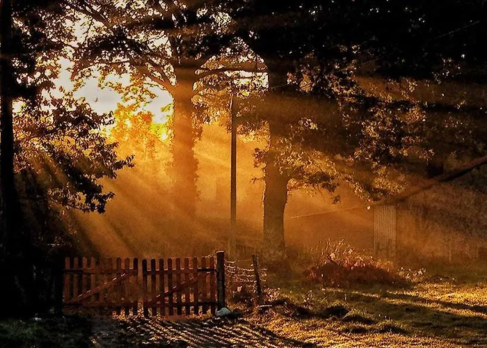 Astrofarm * Confolens