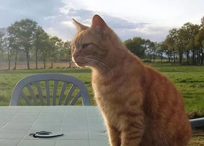 Bed & Breakfast Astrofarm Confolens